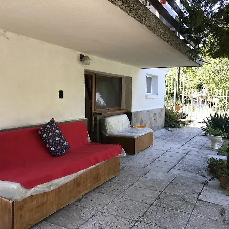 House For Party 