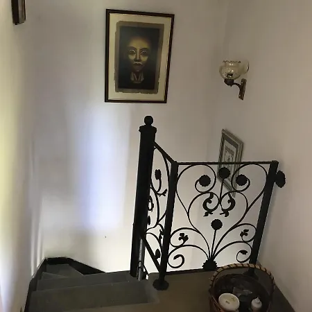 House For Party 