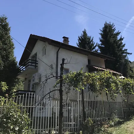 House For Party 