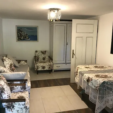 House For Party 